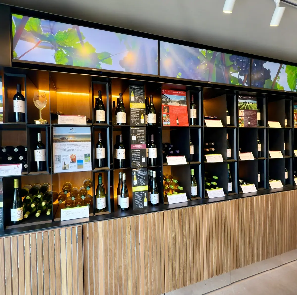 【軽井沢】3/17グランドオープン！注目の画像_5