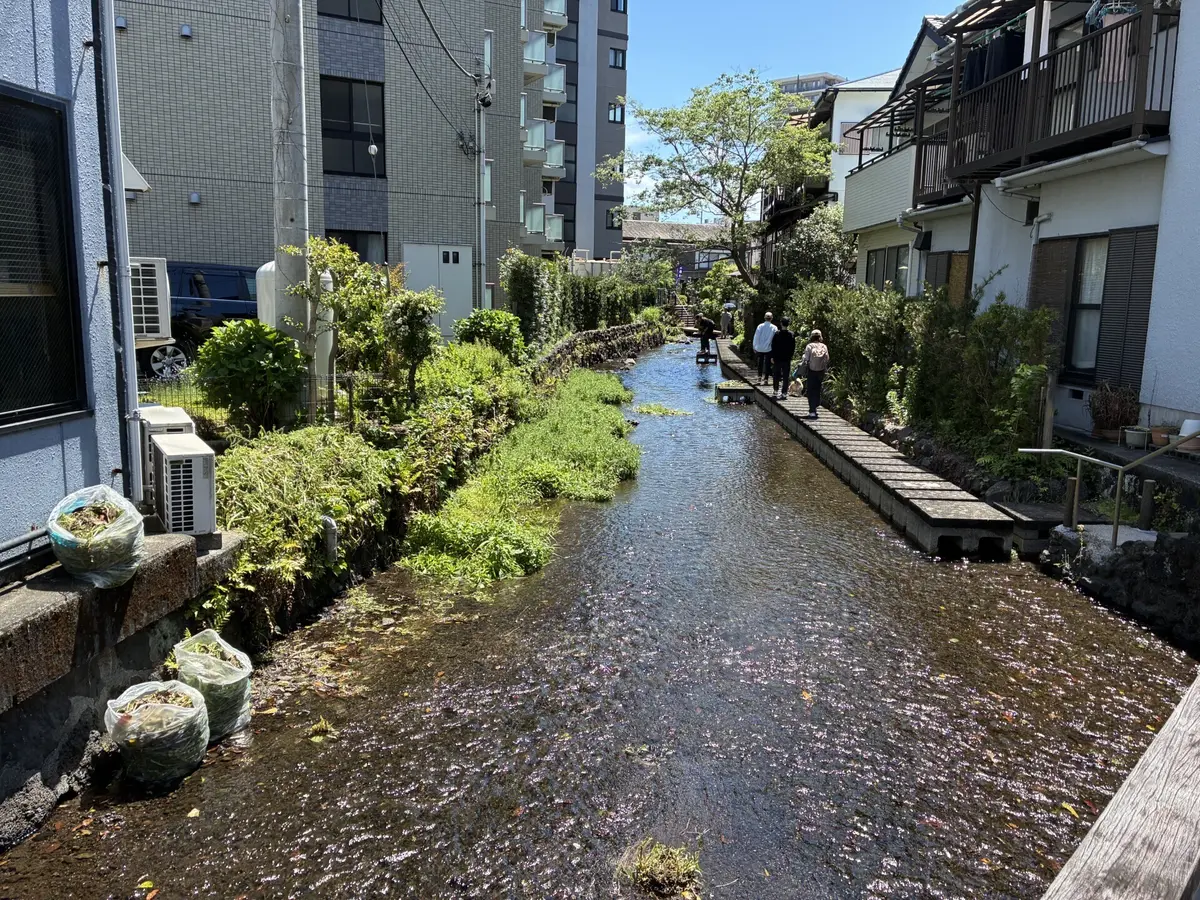 源兵衛川