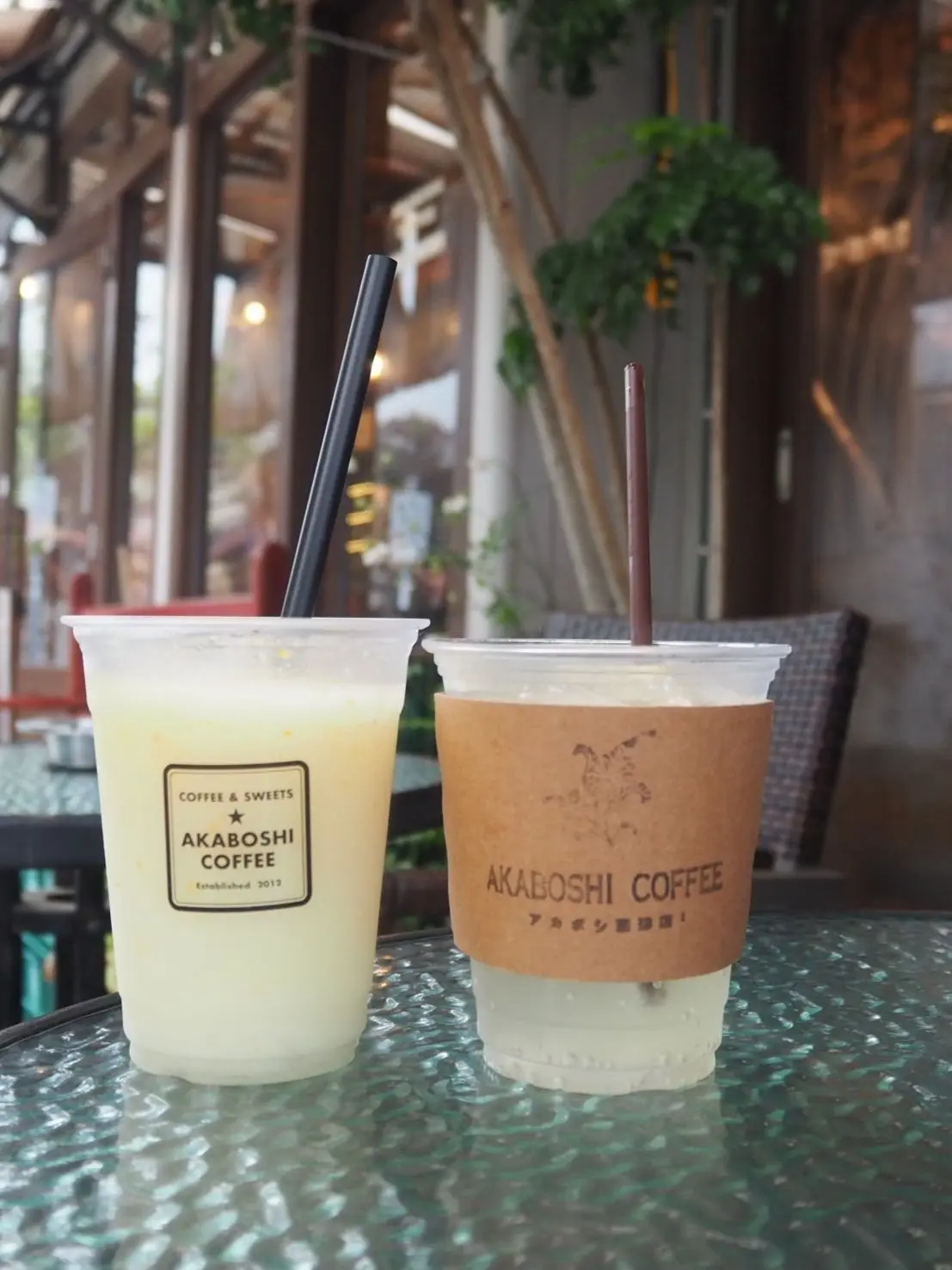 Akaboshi Coffeeの紙製カップに入った、白い飲み物とコーヒー色の飲み物が2つ並ぶ。それぞれにストローが刺さっており、背景には緑の植物が見える。