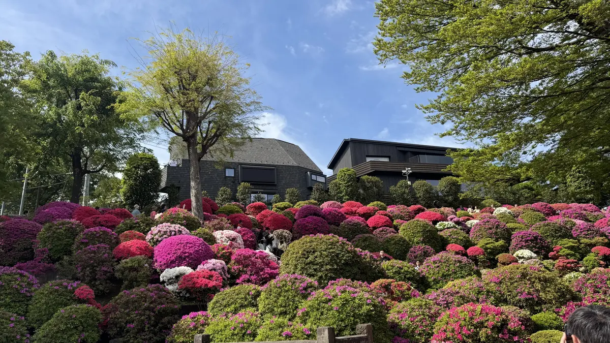 根津神社 04