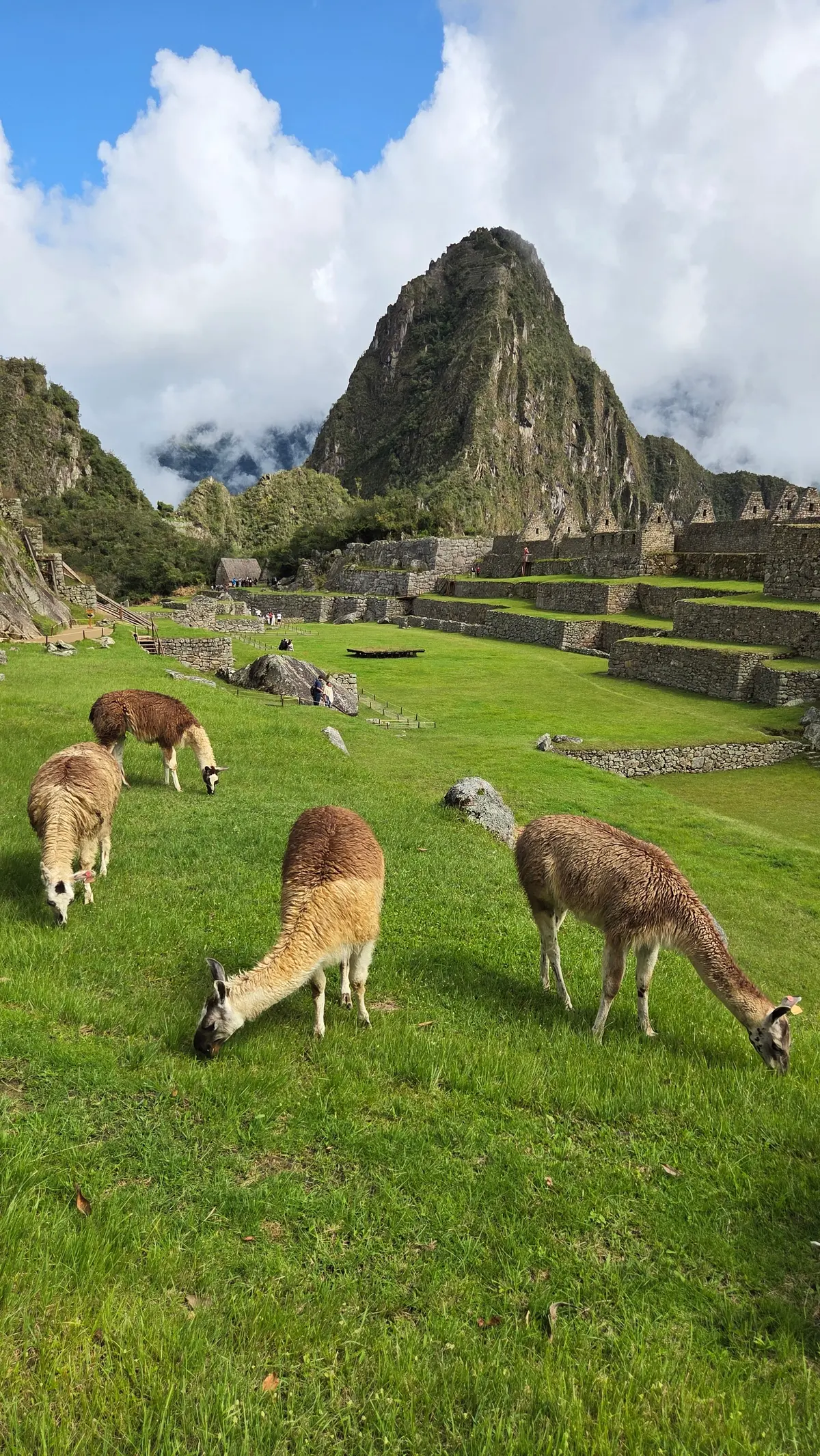 死ぬまでに見たい絶景ランキング常連！インの画像_29