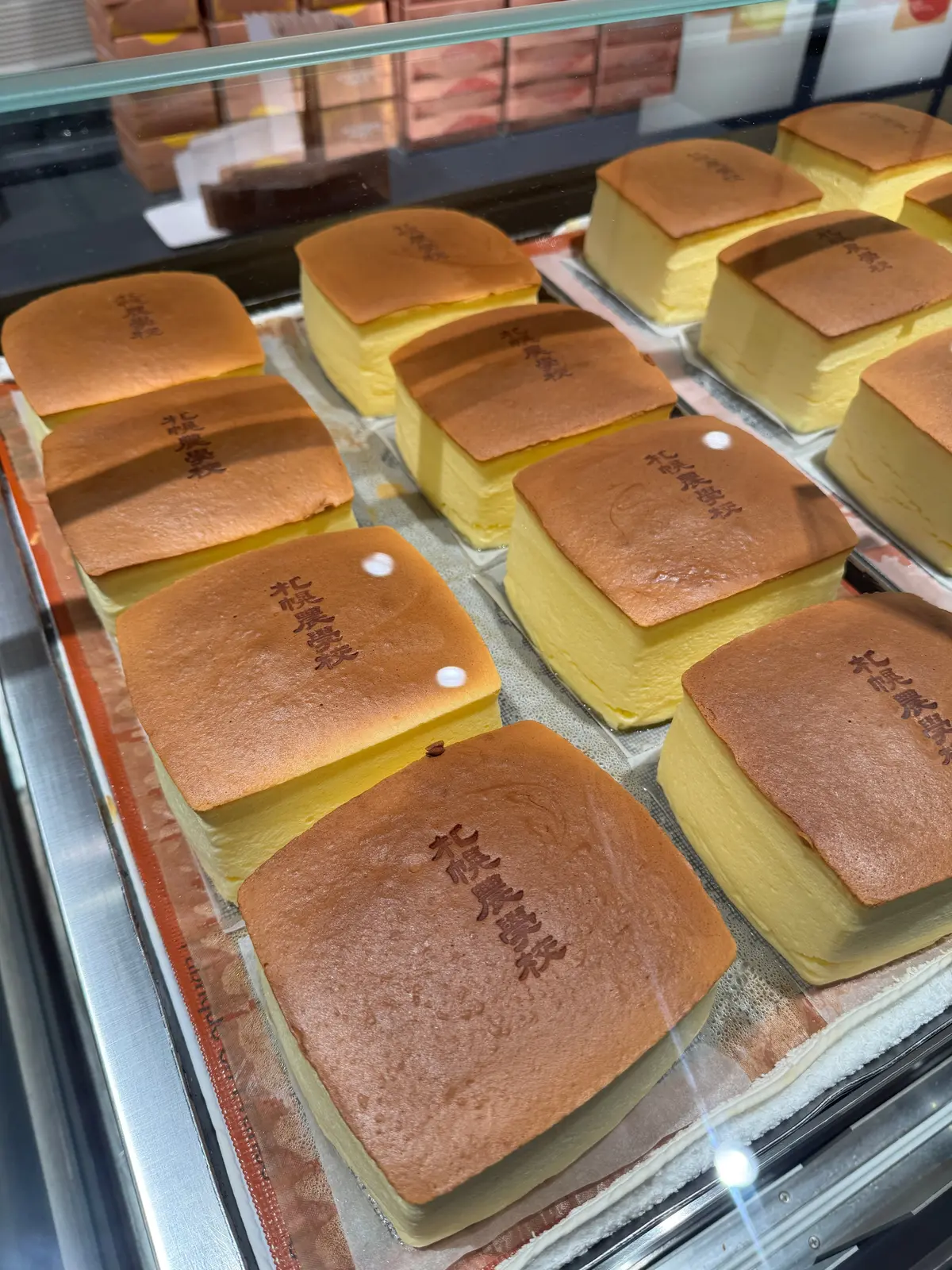 札幌農学校　焼きたて酪農チーズケーキ