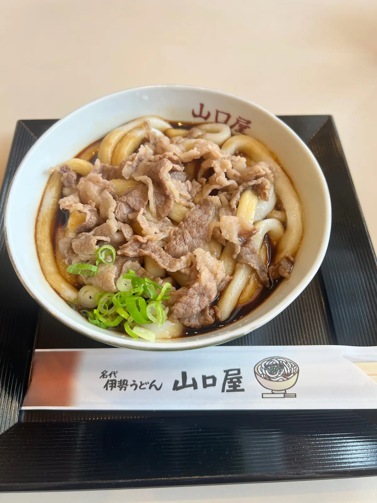 白いお皿に盛り付けられた、牛肉とネギのうどん。うどんは太めで、醤油ベースのスープと具材が全体に掛かっている。お皿には「山口屋」のロゴマークが赤色で印されている。