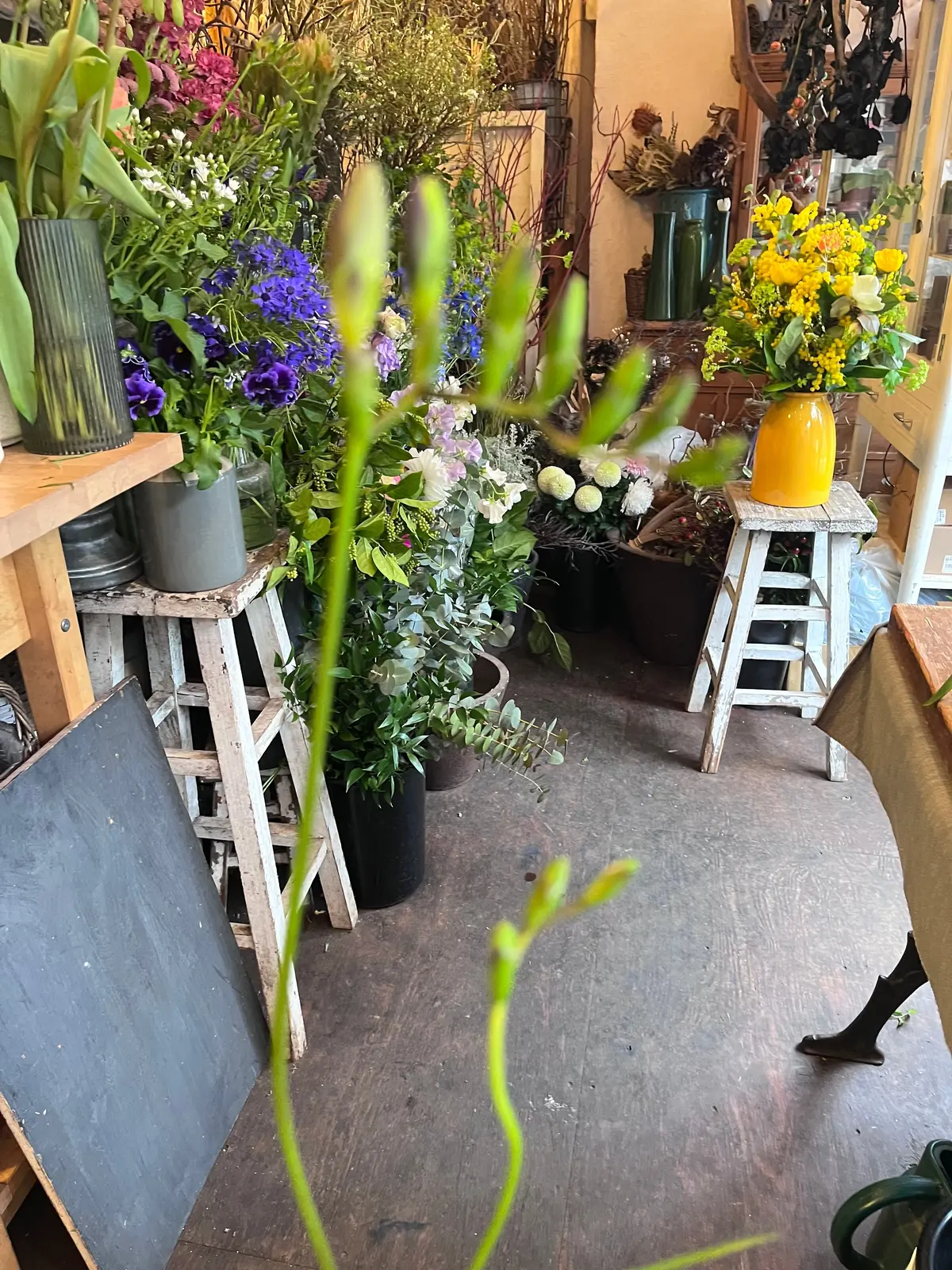 写真が下手でボヤけています