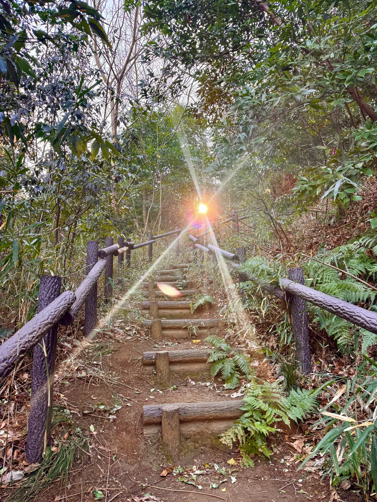 ユニクロのカシミヤ小物が主役！冬のお散歩の画像_6