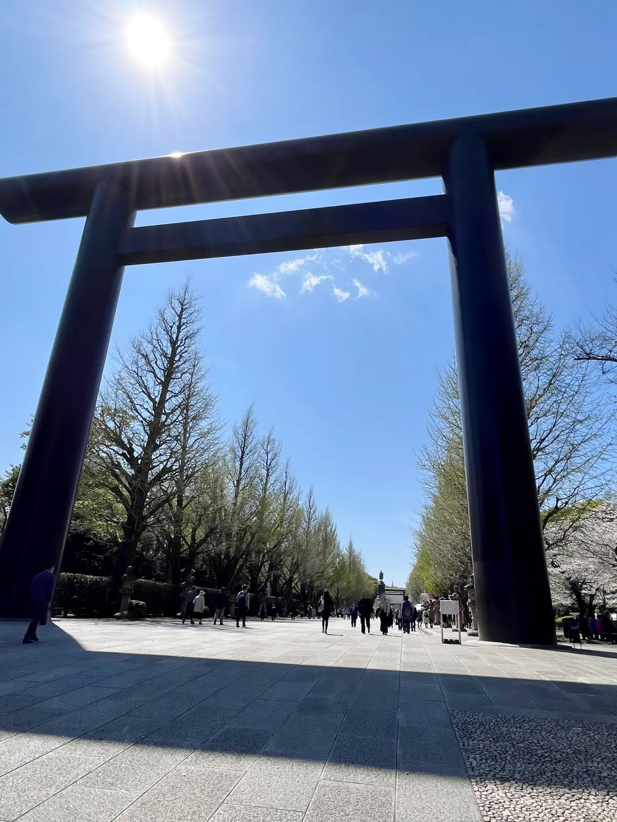 散ってしまう前にもう1回お花見🌸を♪の画像_10
