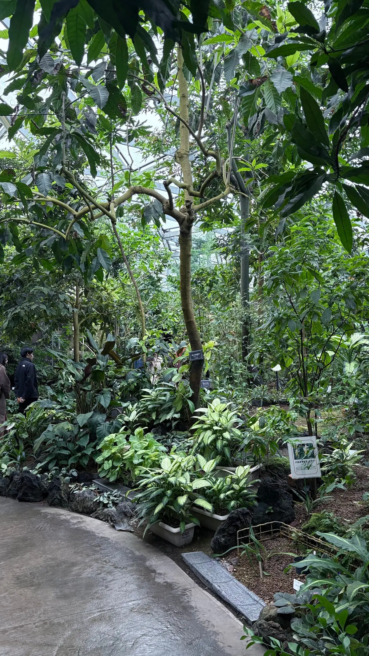 GUワントーンコーデで新宿御苑への画像_2