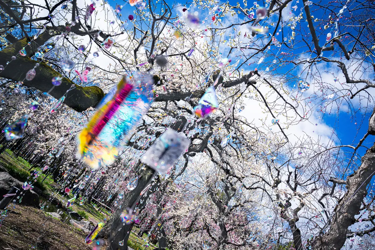 GWイベント　蜷川実花