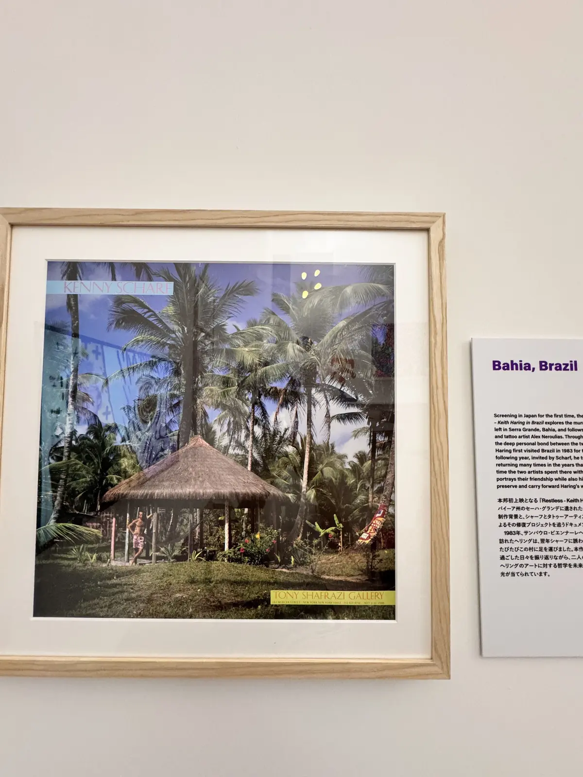 木製の額縁に入った、3枚の風景写真が並んだ作品。左から、緑豊かな山々と空、砂漠のような風景、そして夕焼けの海。右隣には、Tony Shirazi Galleryのロゴが見える。