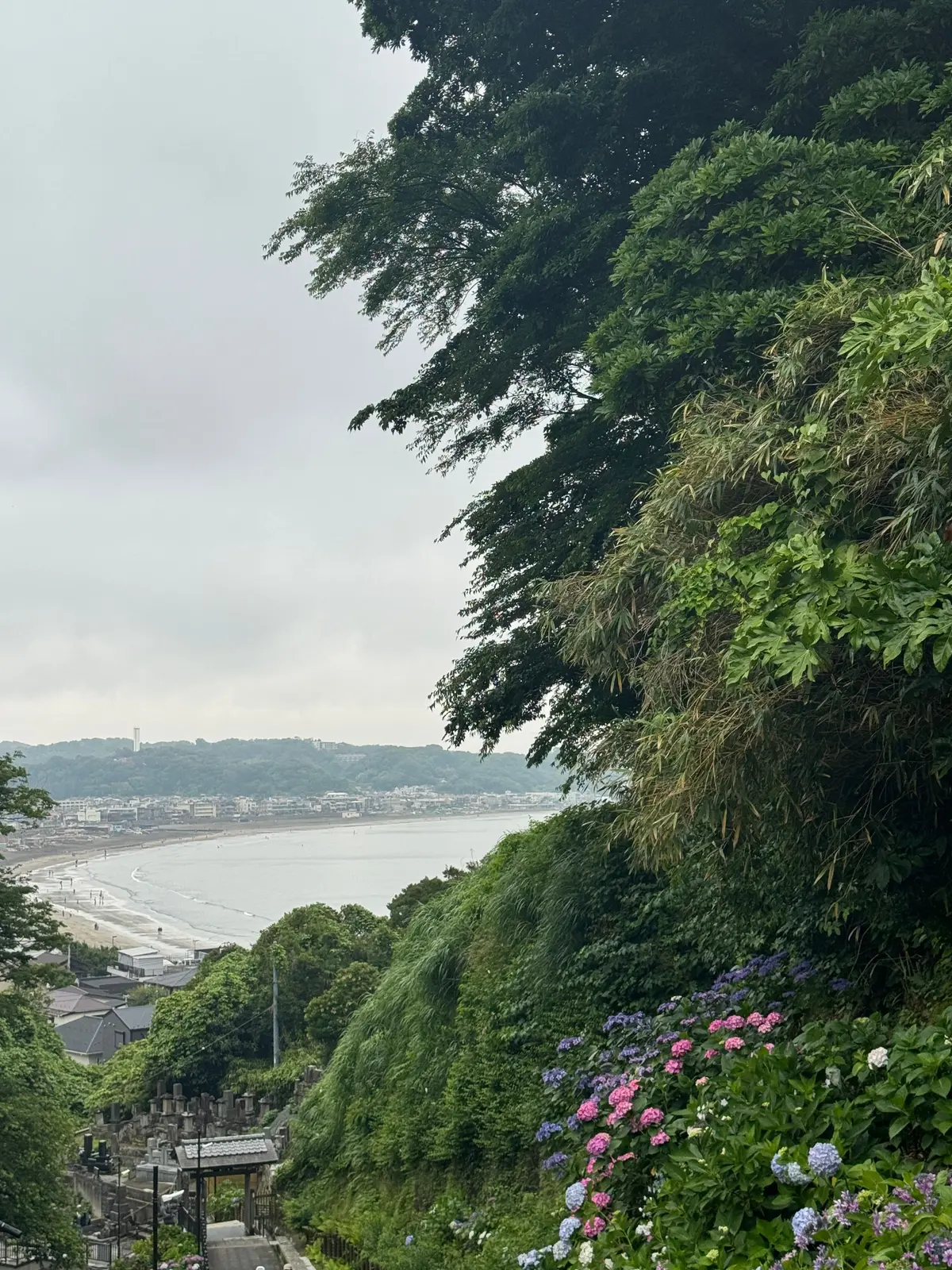 海辺の街並みと緑豊かな丘の景色。花壇に紫と白の花が咲き、海と遠くの街が広がる。