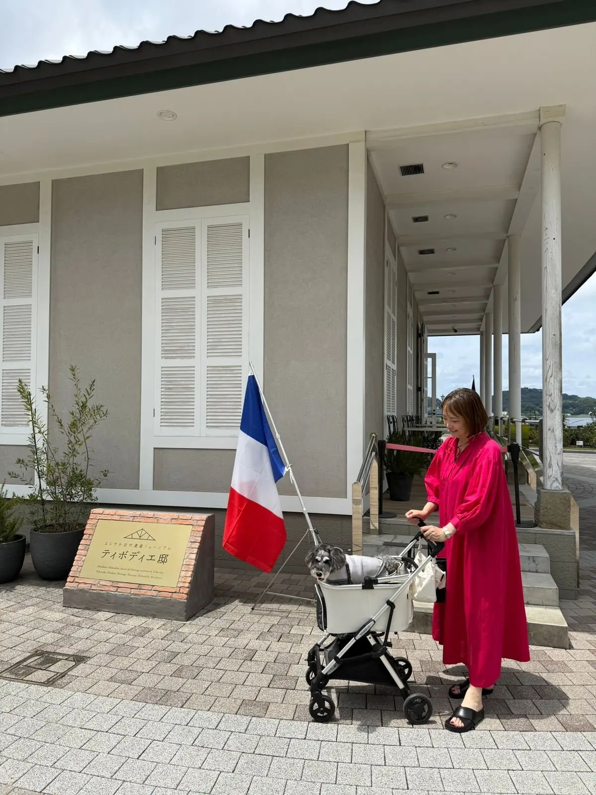 ベージュの建物前で、フランス国旗が掲げられている。女性が赤いトップスとデニムを着用し、犬を連れたシルバーのカートを押している。建物の壁には植栽があり、右にはポーチが見える。
