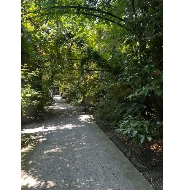 緑豊かな植物に囲まれた、コンクリートの歩道が続く道。アーチ状の鉄の構造物が設けられ、植物が絡みついている。光と影が入り混じり、奥行きを感じさせる。