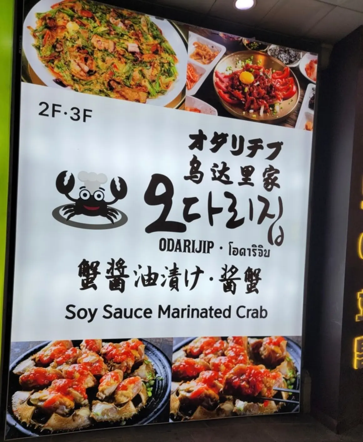 極寒ソウルを快適に⭐︎ヘルノのダウンコーの画像_2