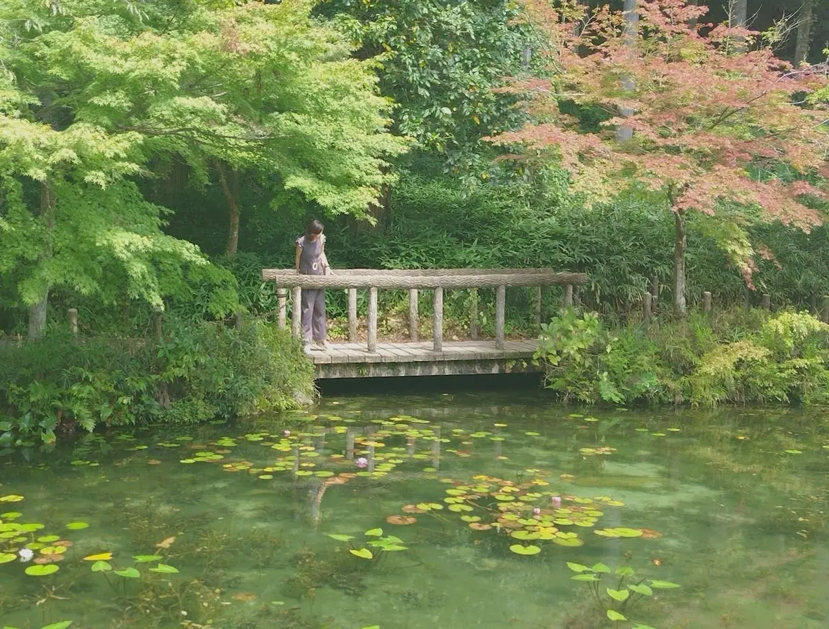 名もなき池
モネの池