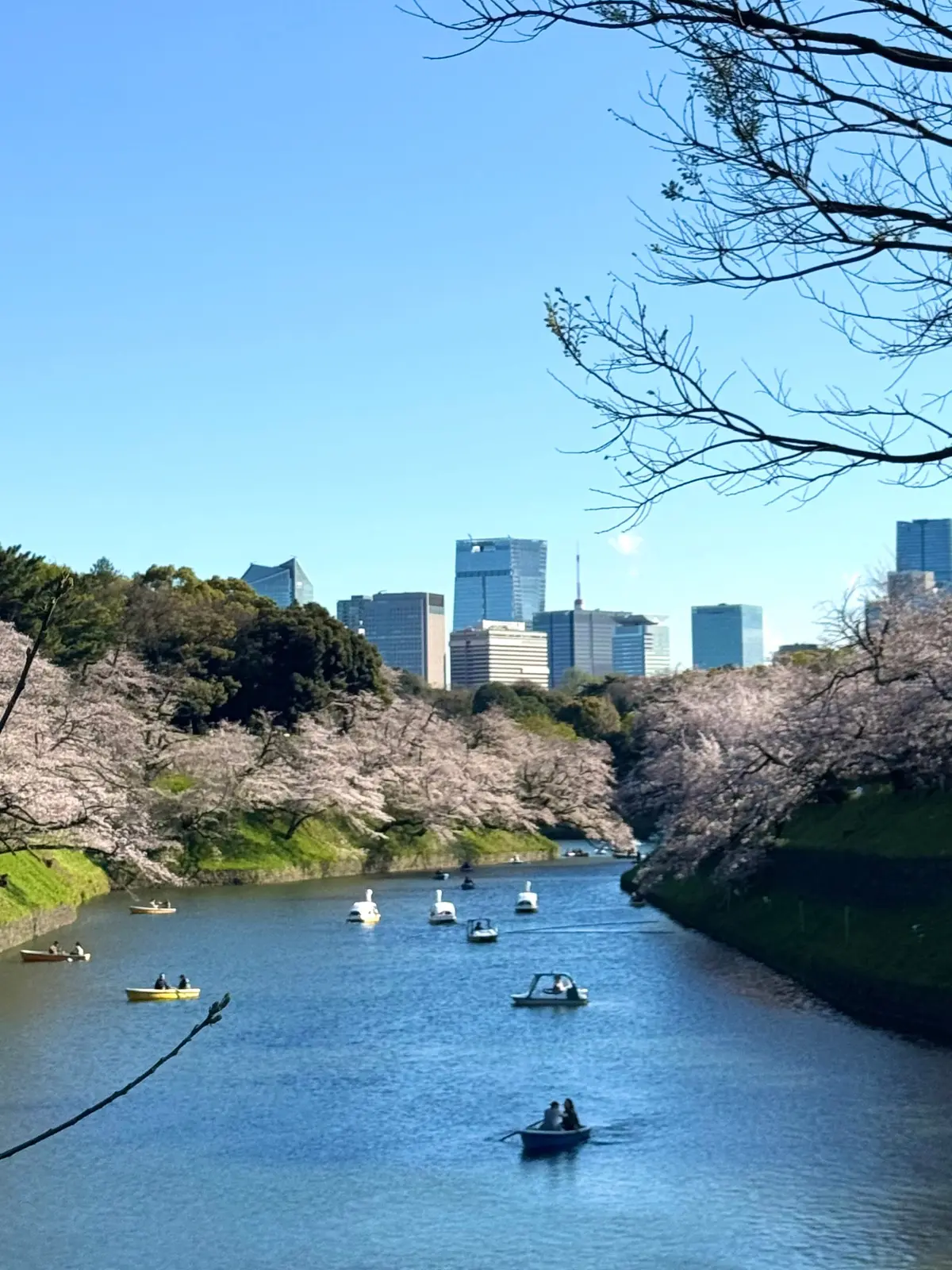ZARAの上品セットアップで「下村観山展の画像_16