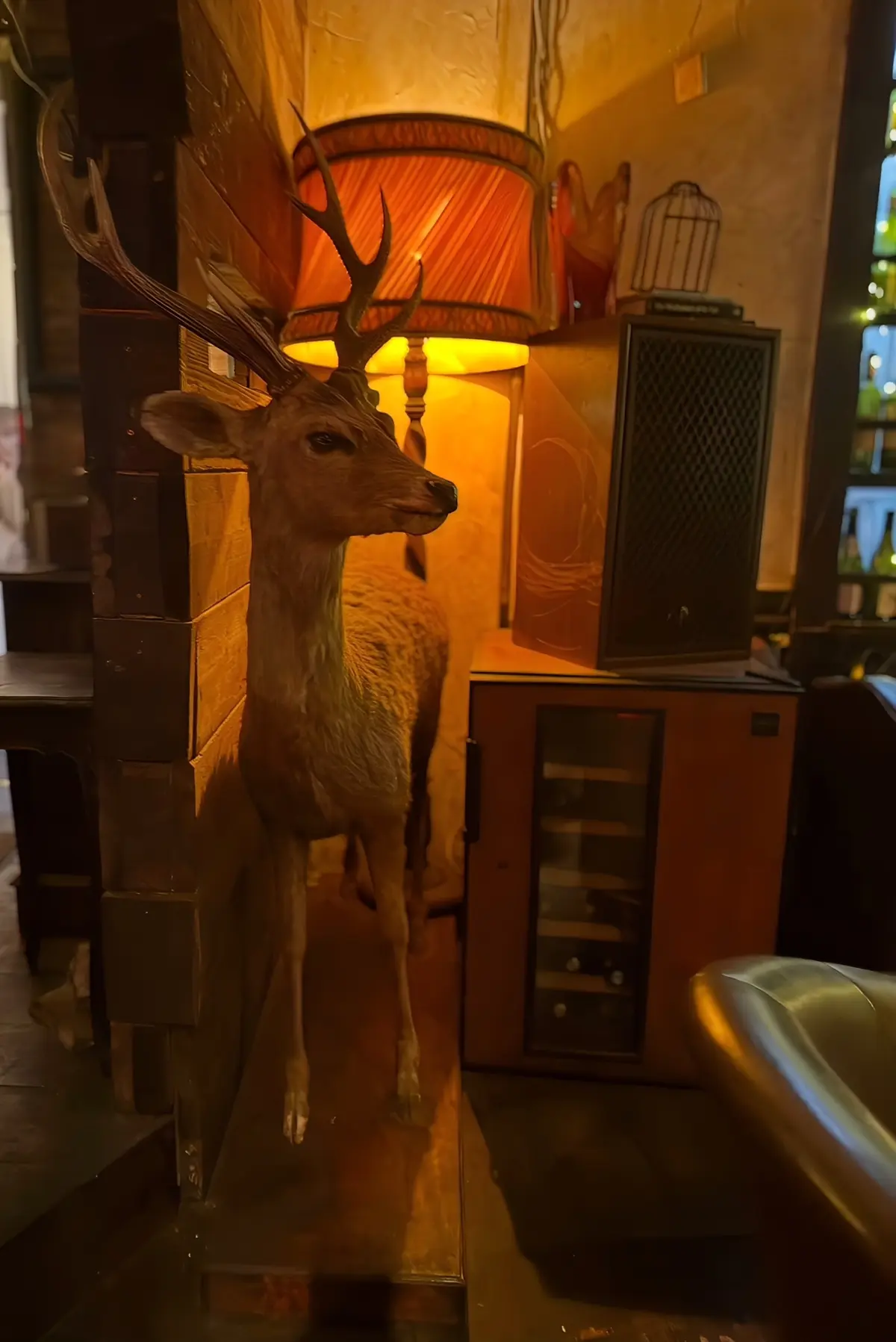 目黒川の桜名所と隠れ家カフェ　大人のリラの画像_8