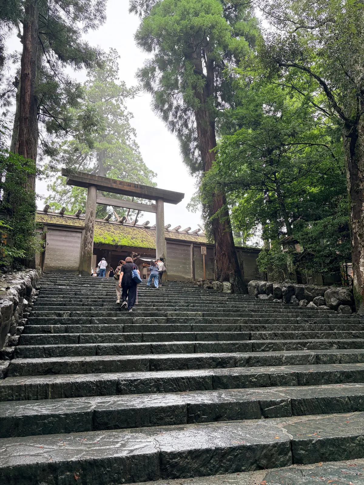 石造りの階段が上り、鳥居がそびえ立つ神社の入り口。雨に濡れた階段には数人が昇っている。周囲には緑豊かな木々が生い茂っている。