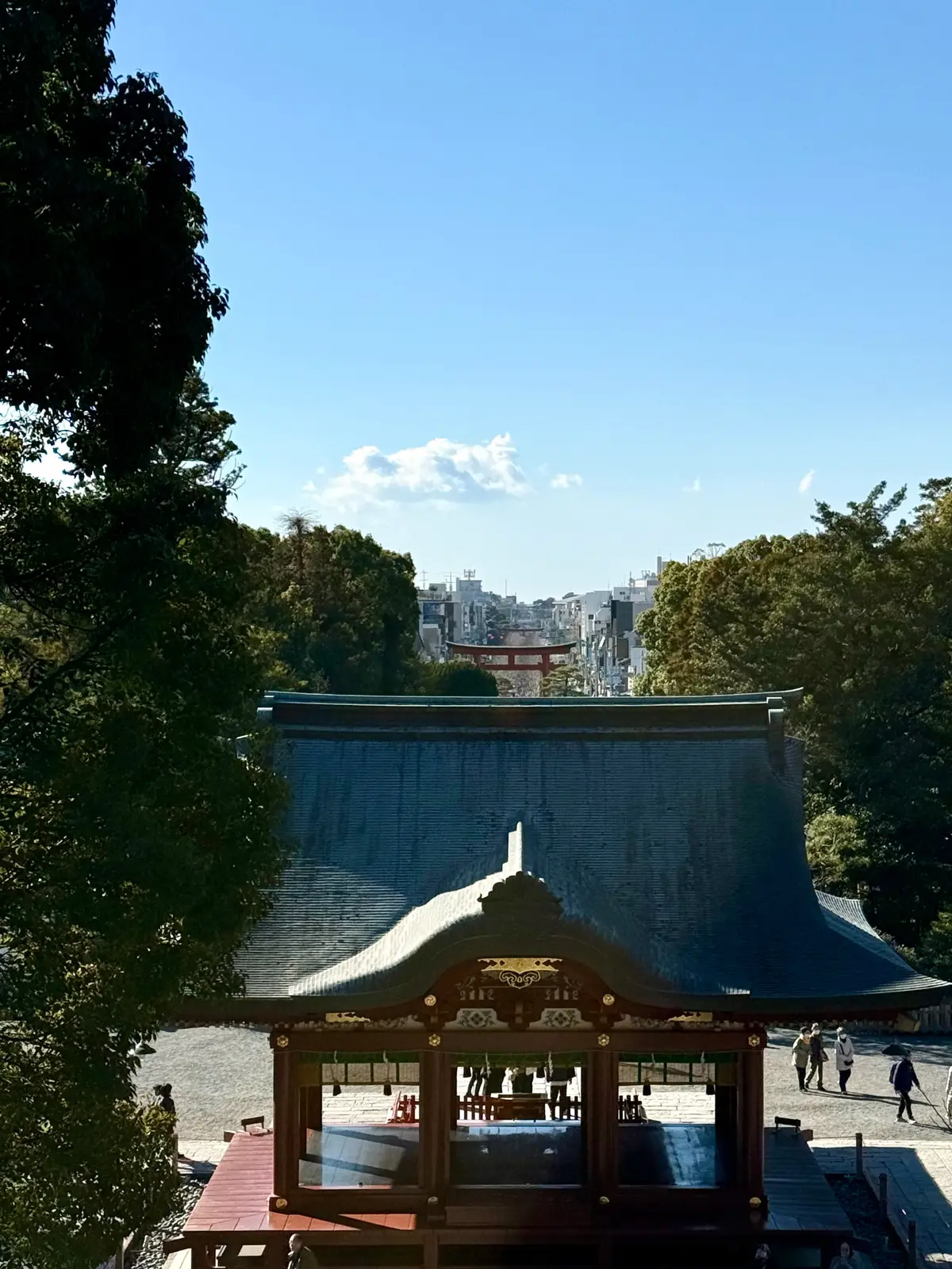 鎌倉　鶴岡八幡宮　境内