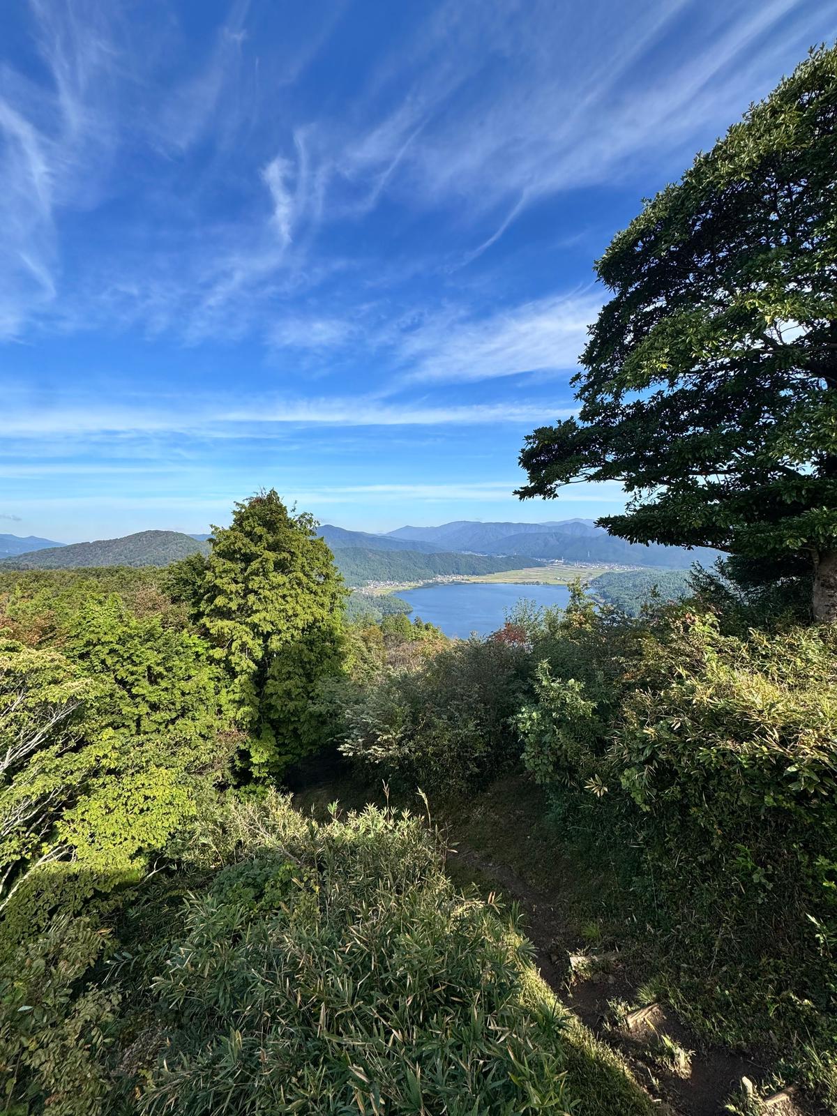緑豊かな丘陵地帯から見下ろす、湖と山々の風景。青空に白い雲が広がり、手前に緑の木々が生い茂っている。