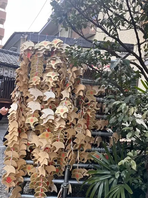 母との京都旅行　高台寺のライトアップが素の画像_5