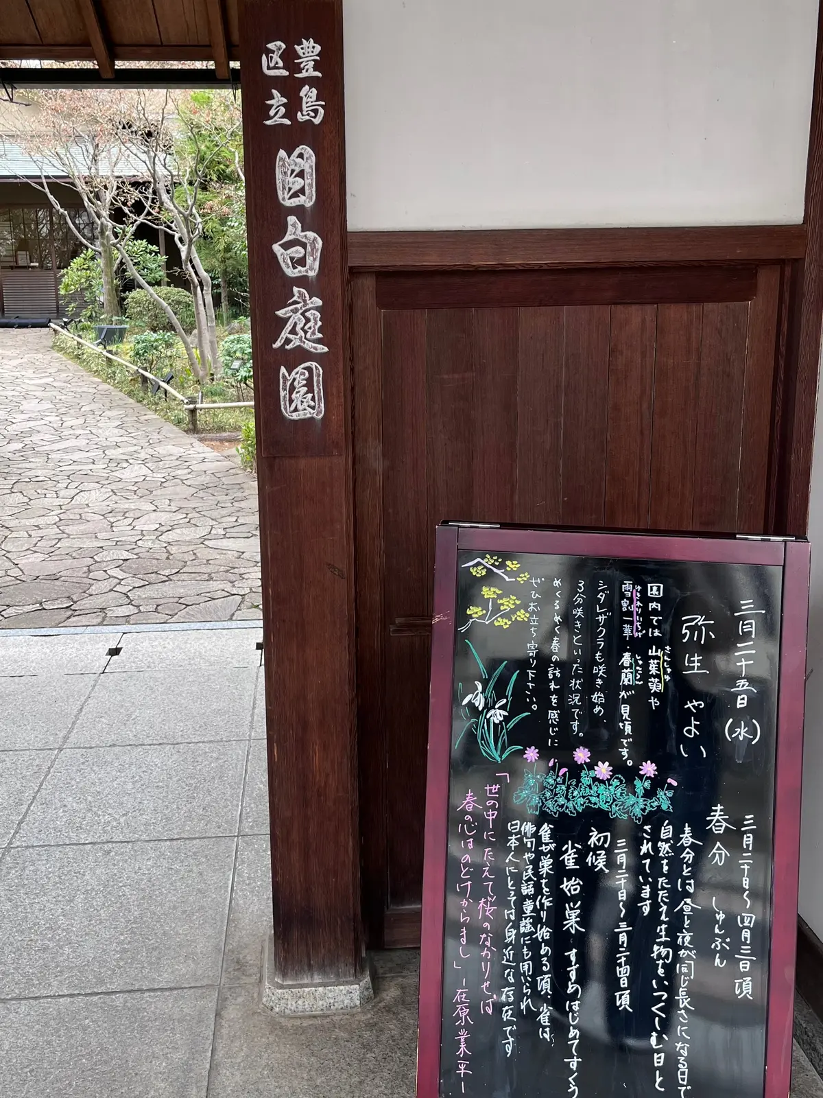 やっぱりかき氷も〝桜🌸〟＆いろいろなことの画像_7