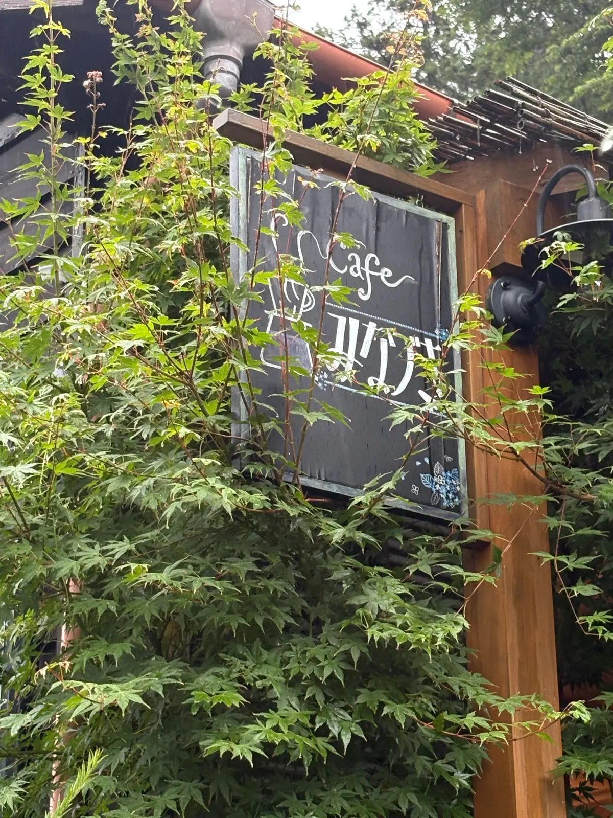 緑の低木に囲まれた木製の看板に「カフェ」の文字が書かれている