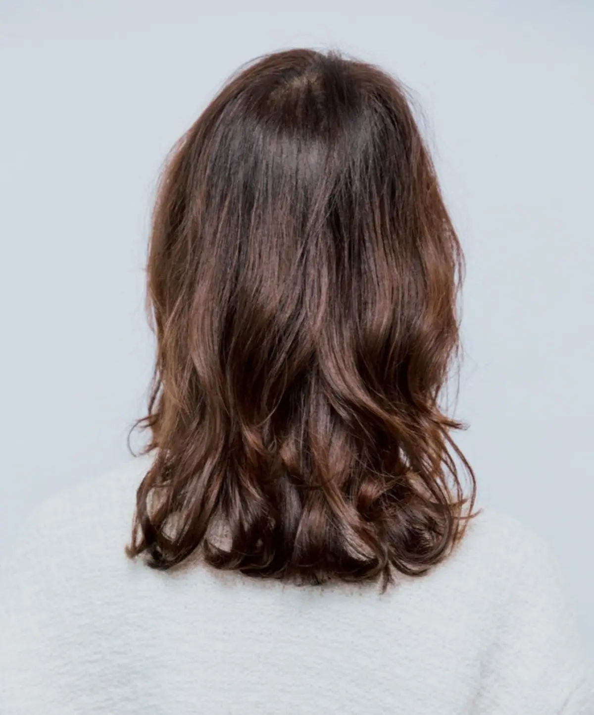 Webエクラ 後から見たミディアムヘアスタイル