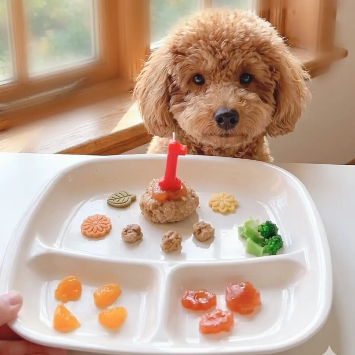 𝐇𝐀𝐏𝐏𝐘𝐁𝐈𝐑𝐓𝐇𝐃𝐀𝐘 誕生日プレート