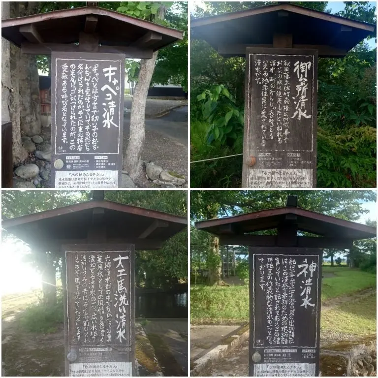 緑豊かな木々に囲まれた石造りの建造物。屋根付きの石碑が設置され、それぞれに日本語の文字が刻まれている。石碑は左上から順に「智所用水」「中ノ津用水」「大玉堀洗堰水」と書かれている。石碑の背景には、緑の葉や木々が見え、自然に溶け込んでいる様子。
