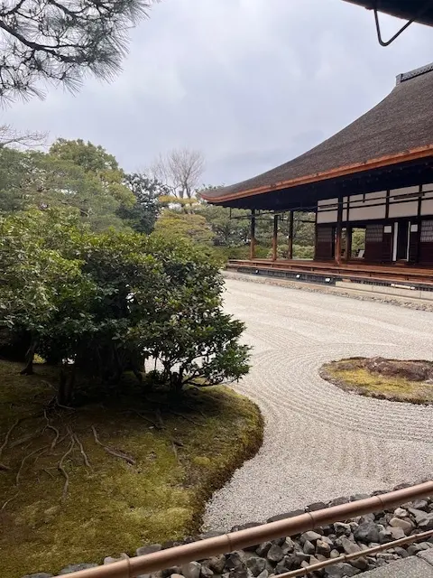京都2日目は早足で・・・朝の建仁寺がとての画像_1