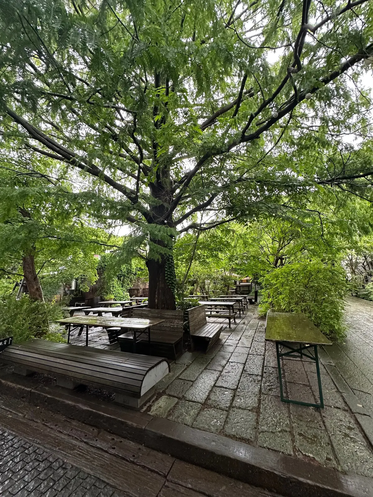 広葉樹の木が茂る公園の屋外エリアで、石の床に木製のテーブルとベンチが配置されている