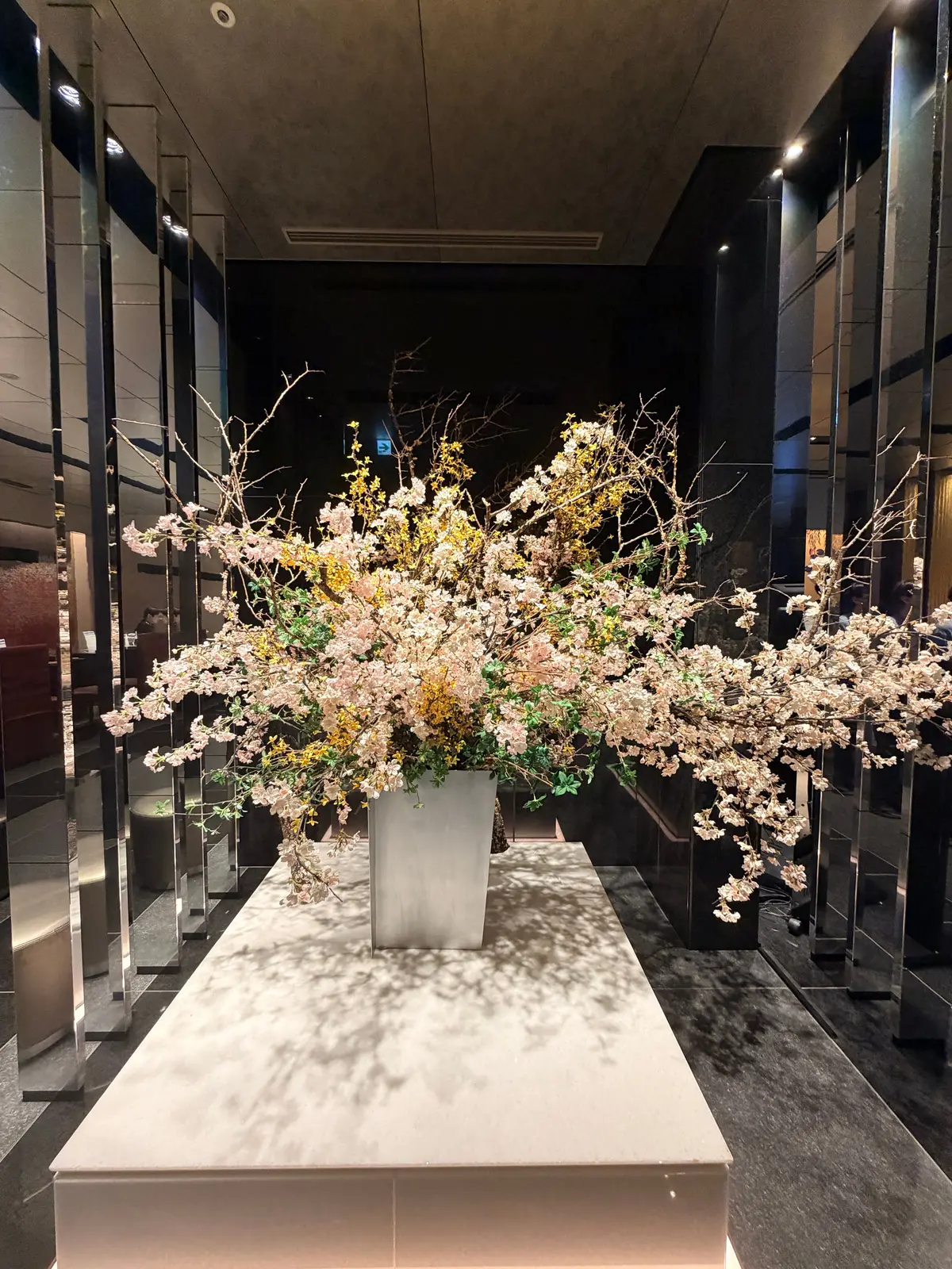 春の湯河原は、4000本の梅の花じゅうたの画像_12