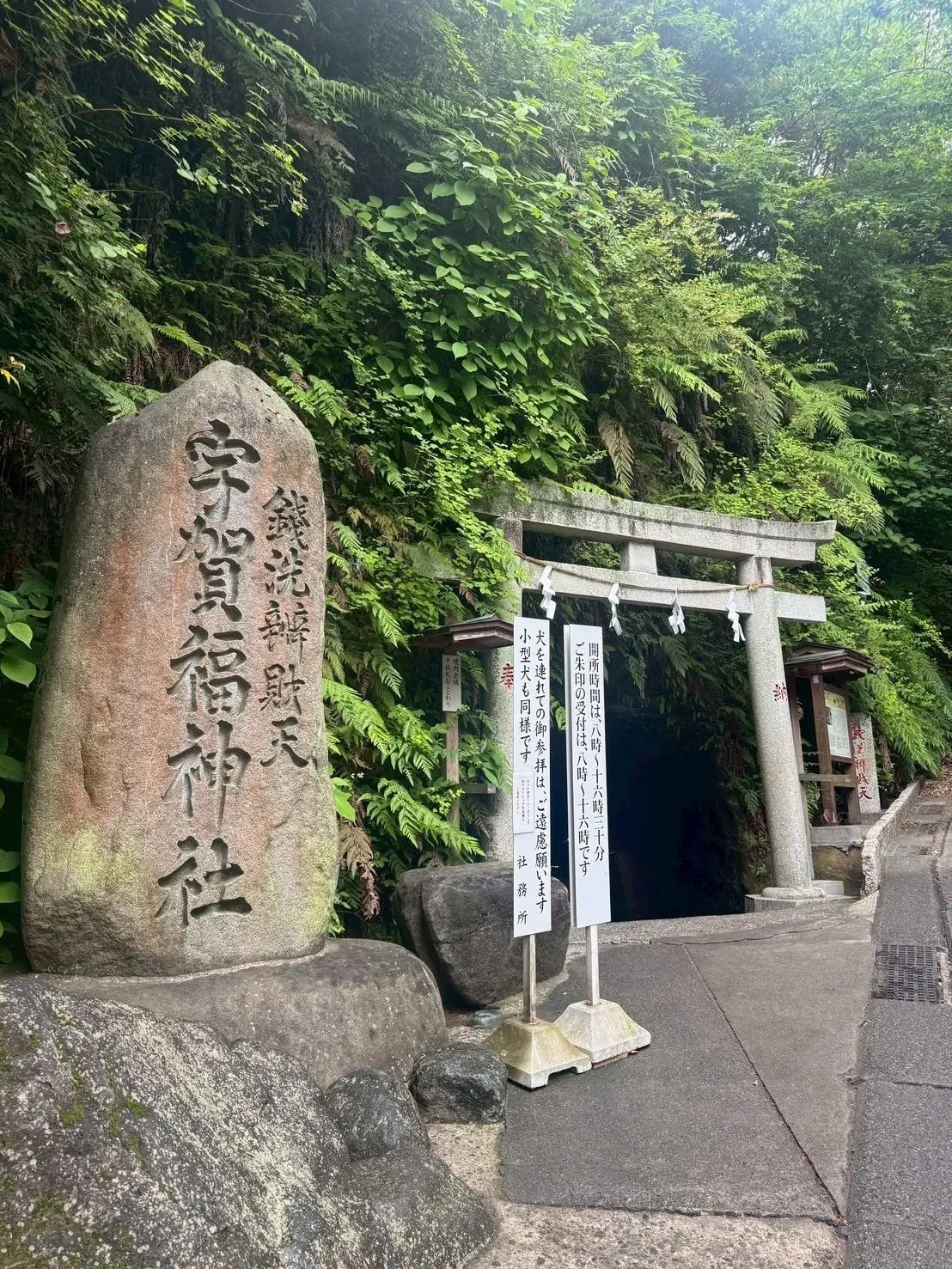 緑豊かな森の中、石の鳥居と石碑が並ぶ参道。石碑には日本語で「当神社創建年代不詳」と記されている。