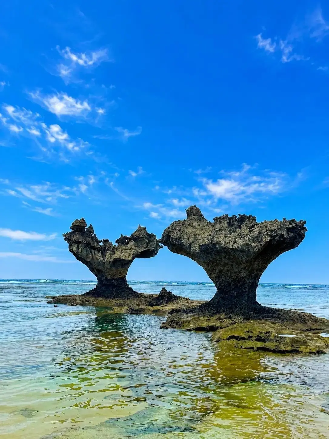 青空の下、海に浮かぶ2つの岩。波打ち際近くにあり、それぞれが笠をかぶったような形をしている。水面は穏やかで、岩の影が映る。