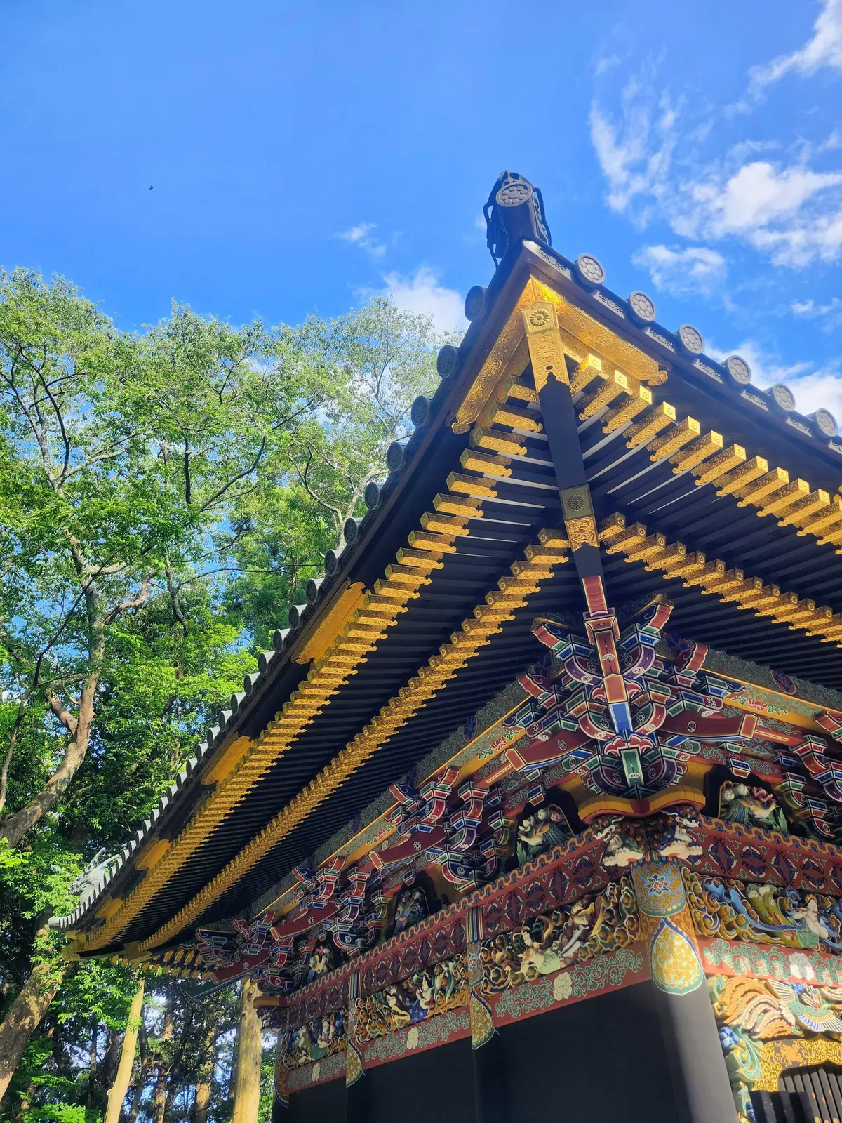 女子旅、仙台、松島、日本三景、牛タン、仙台グルメ、喫茶店、仙令鮨、ホシヤマ珈琲店、閣、東北大学、瑞鳳殿、伊達政宗、松華堂、カステラ、円通院、瑞巌寺、笹かまぼこ、甘味処、あんみつ、彦いち
