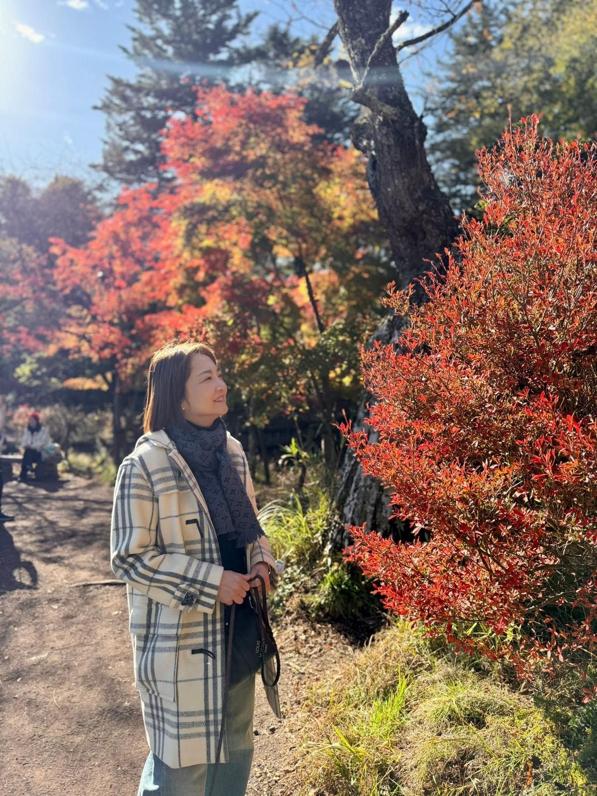 秋の公園で、赤い葉の木を眺める女性。チェック柄のジャケットを着用し、横にはバッグ。背景には他の人も散策している様子。