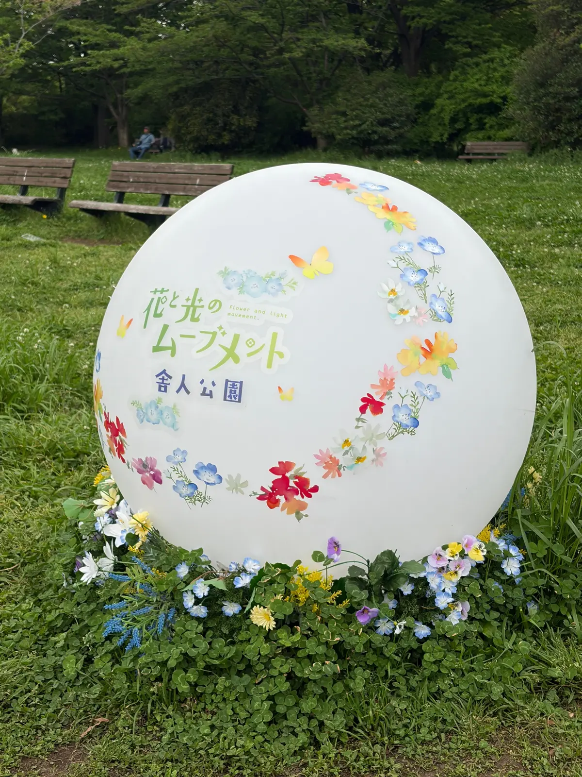 日暮里・舎人ラインに乗ってネモフィラ❀をの画像_4