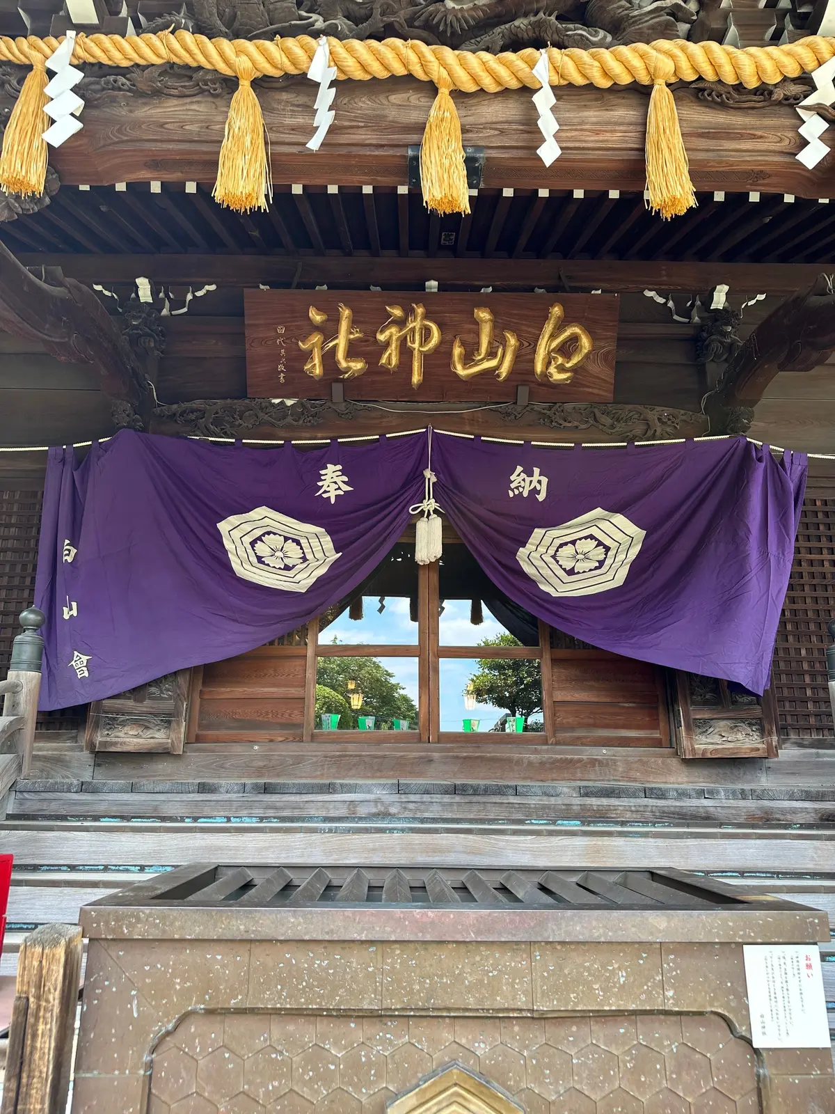 白山神社　あじさいまつり　紫陽花　手水舎　富士塚　梅雨　散策