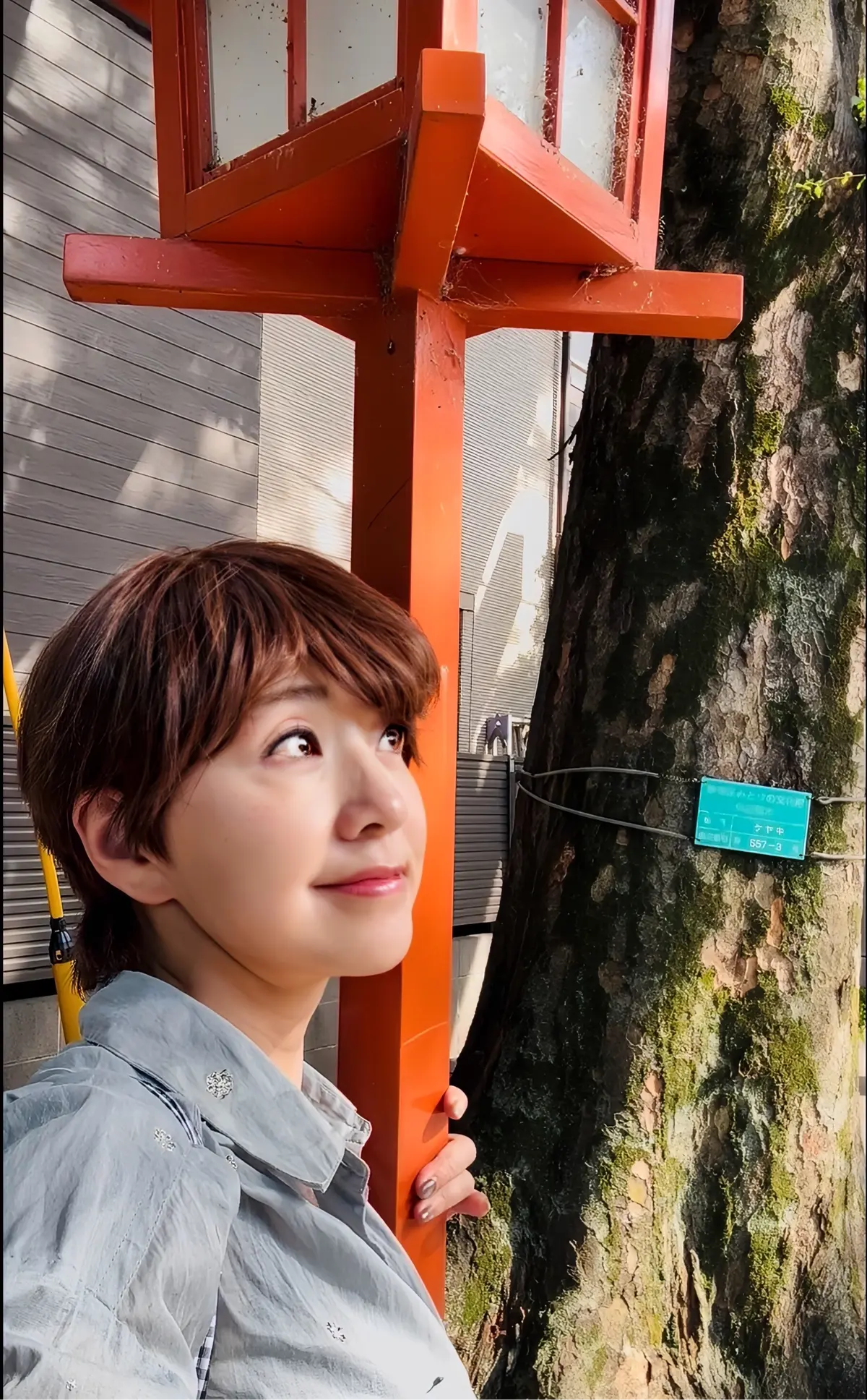 【神楽坂】初夏の風を感じて。隈研吾建築のの画像_8