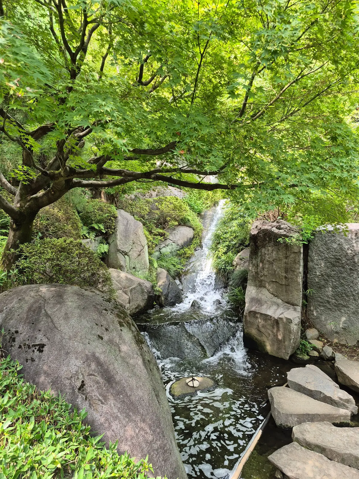 緑豊かな木々が茂る渓谷に、岩の間を流れる滝。水は勢いよく流れ落ち、水面には泡が立ち上がっている。滝の近くには丸い石が置かれ、足元には石段が見える。