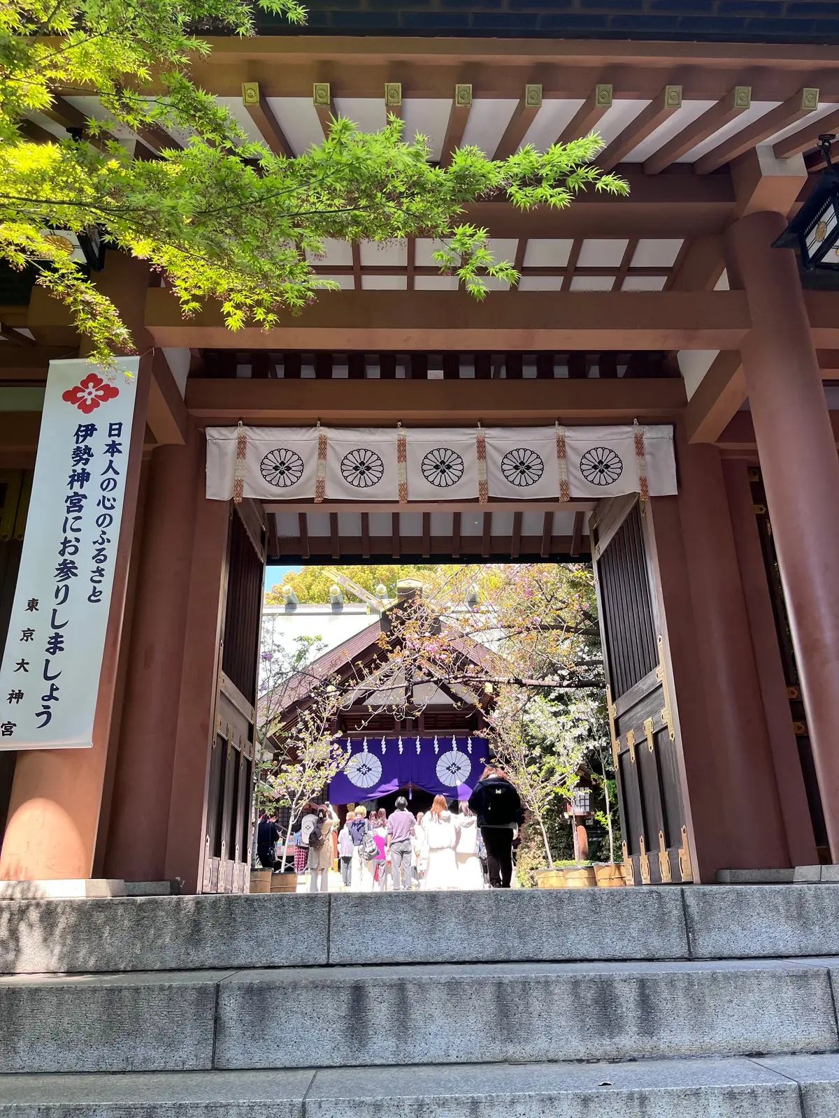 散ってしまう前にもう1回お花見🌸を♪の画像_8