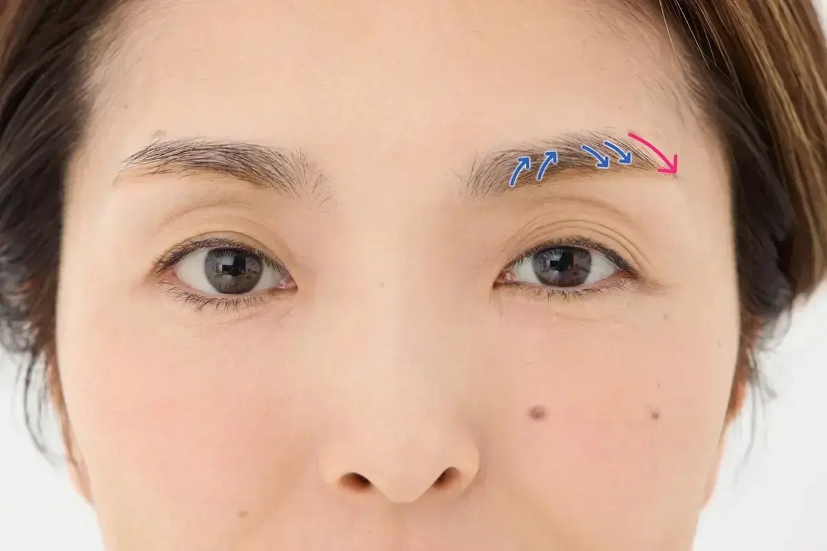 左右のバランスを見ながら、眉尻→眉の中→眉頭の順に、左右の眉を交互に描き進めます。