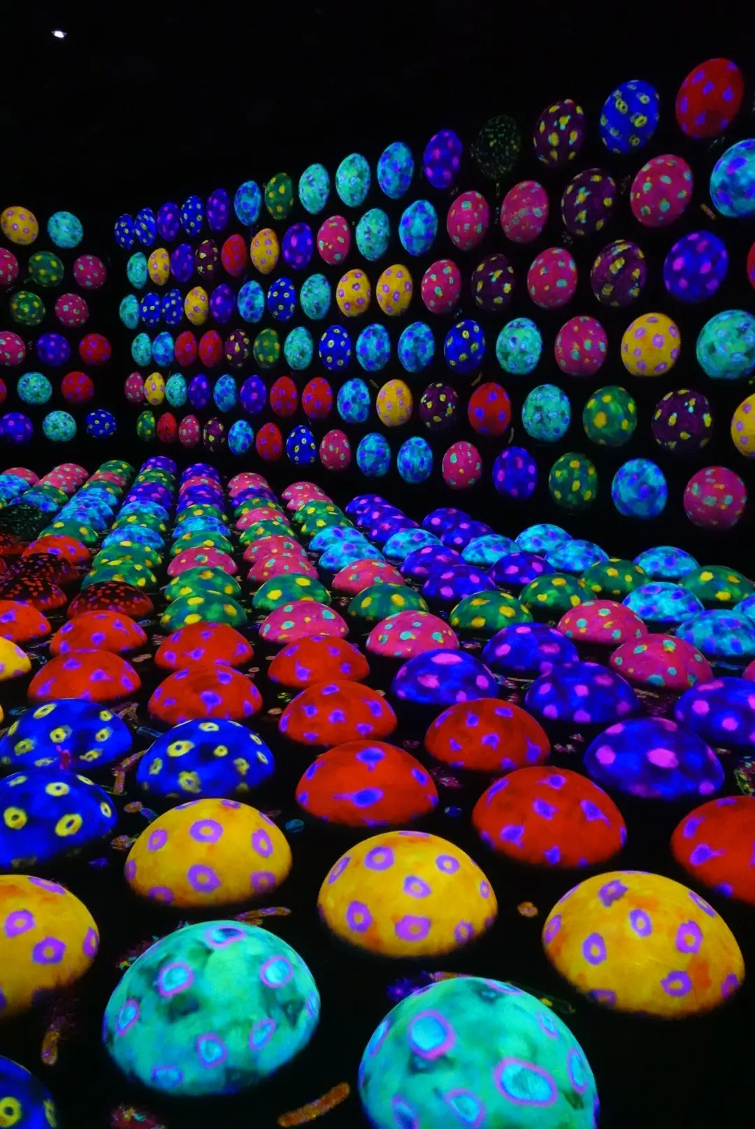 チームラボバイオヴォルテックス京都