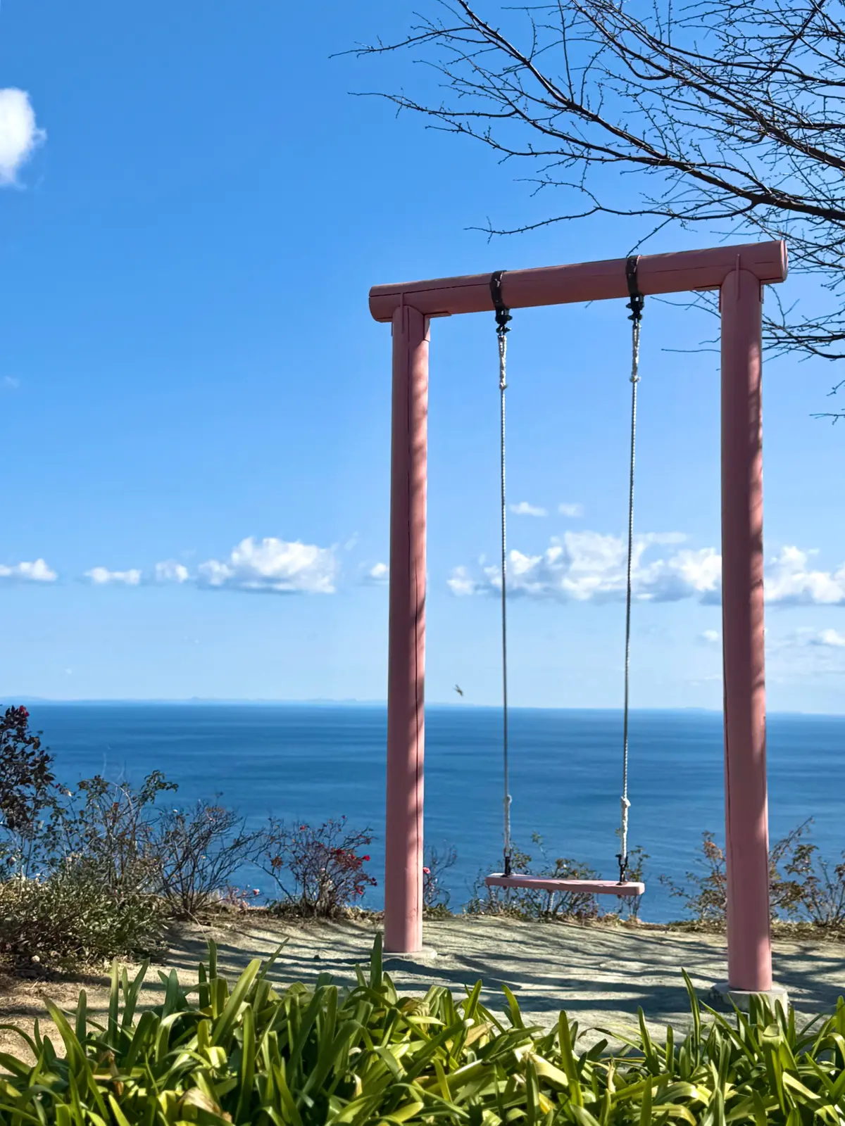 202601 アカオフォレスト 12