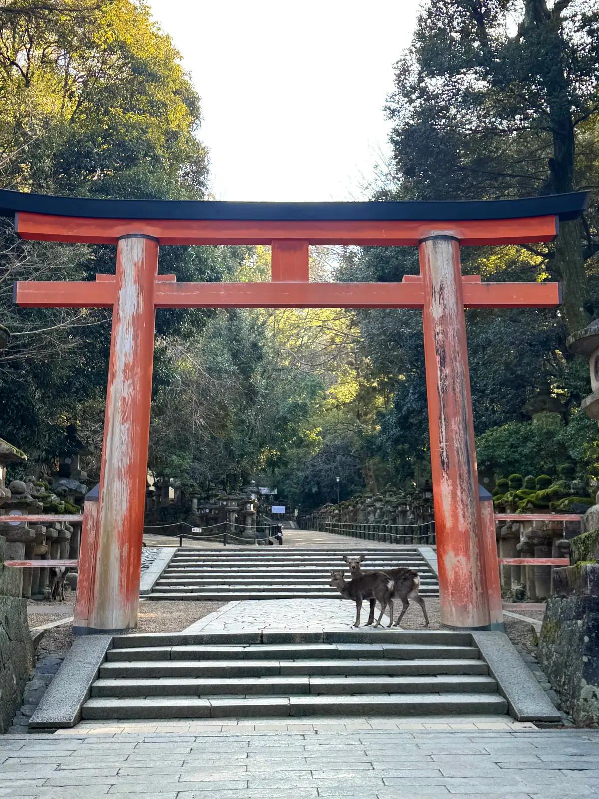 美味いもん＆御朱印を求めて母娘弾丸2人旅の画像_6