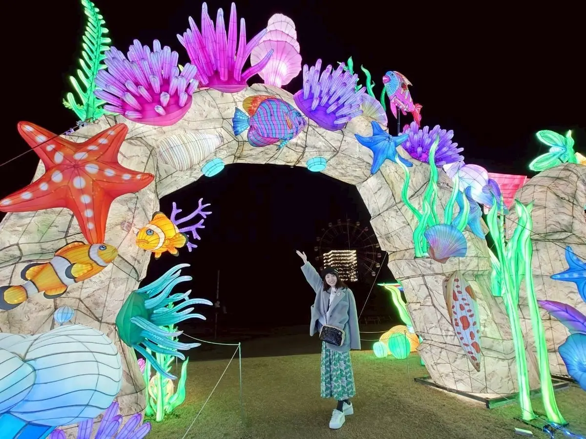 東京ドイツ村のイルミネーション　✨️キラの画像_27