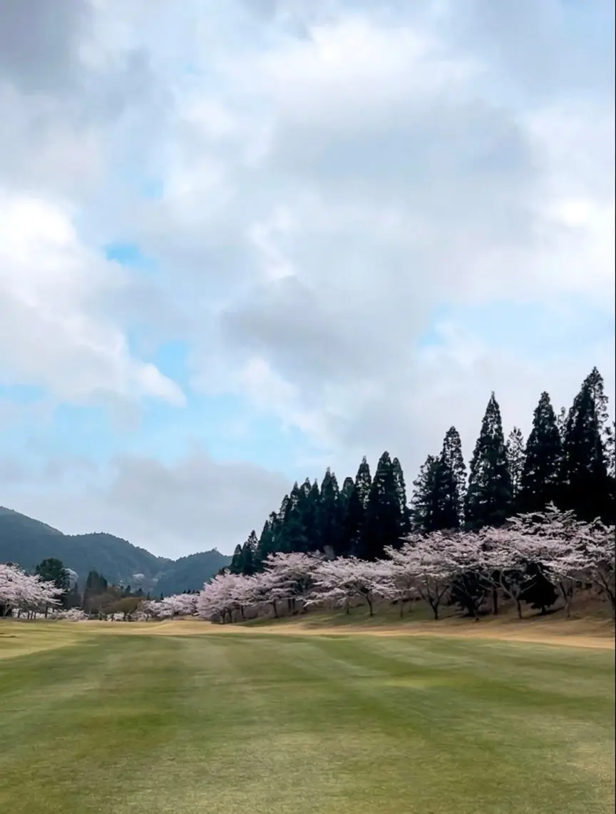 桜満開のお花見ゴルフを満喫🌸の画像_8
