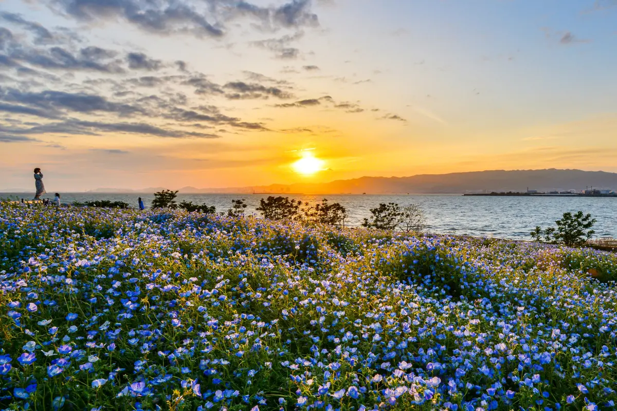 GWイベント　大阪まいしまシーサイドパーク