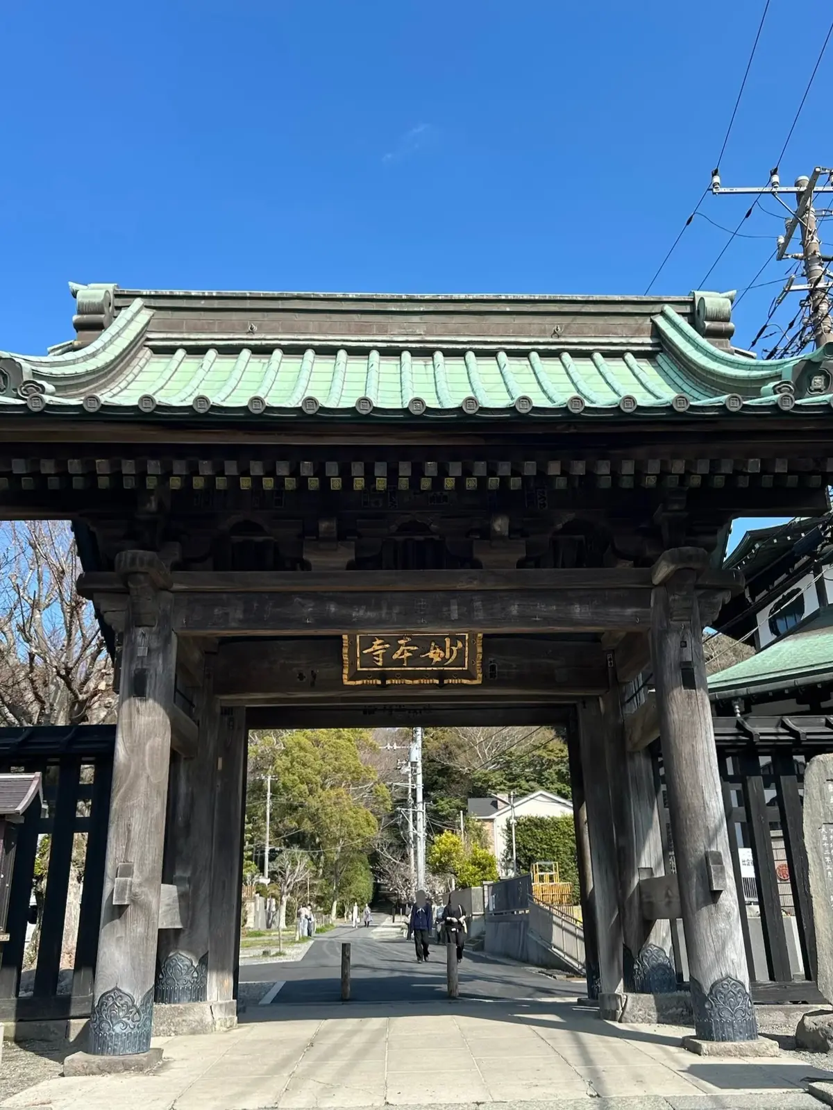 妙本寺　鎌倉の桜　鎌倉観光　桜　結婚式前撮りスポット