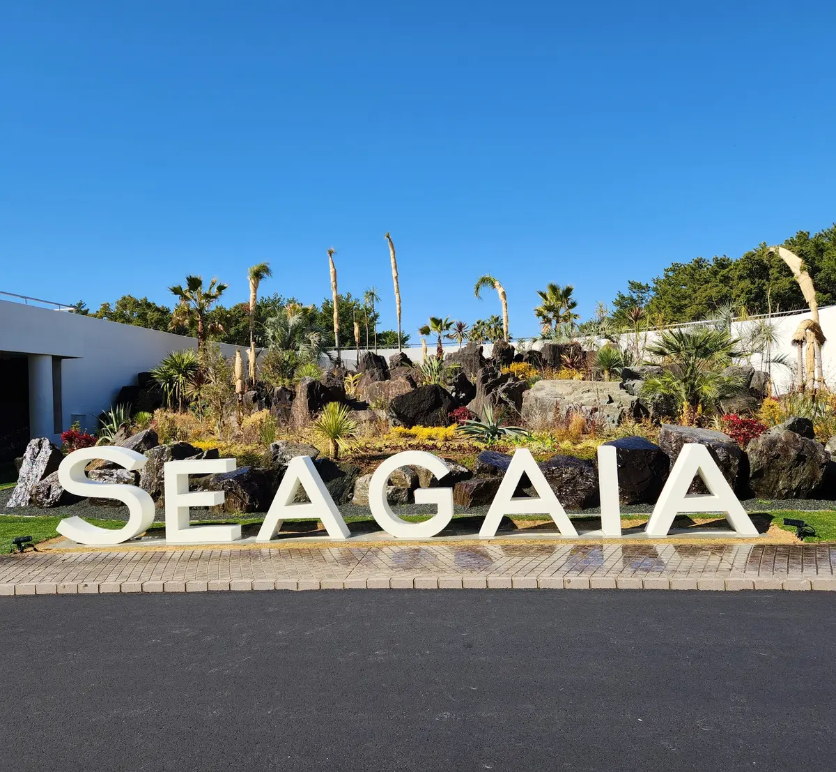 春色ニットで宮崎キャンプへの画像_7